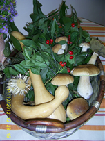 Foto funghi